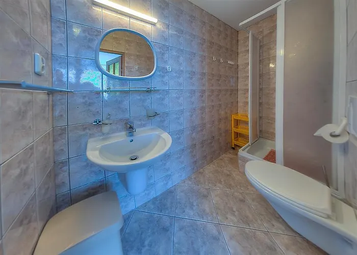 Amigo ホームステイ