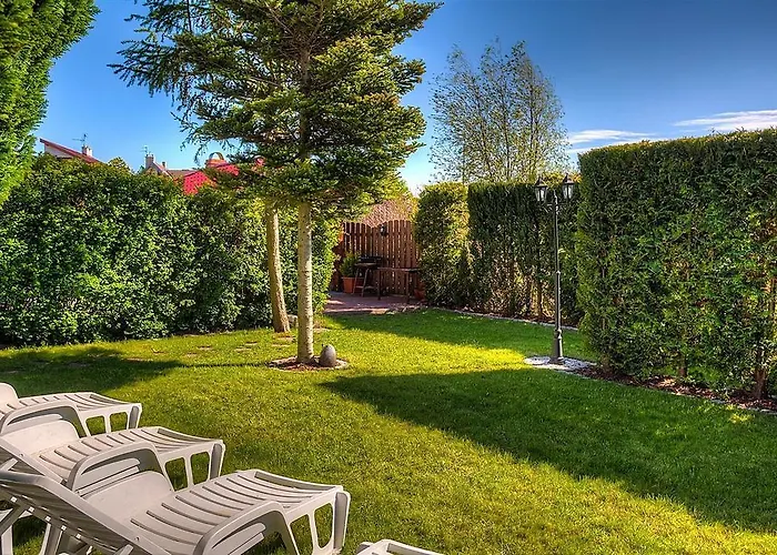 Amigo * コウォブジェク