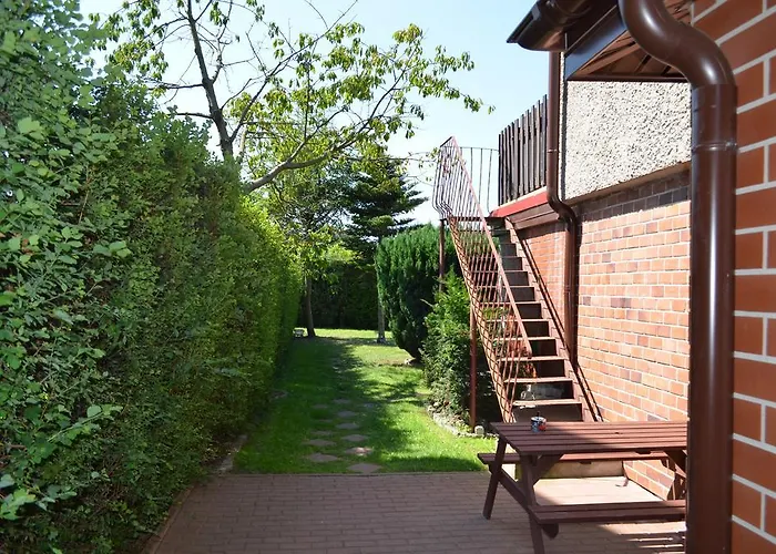 Amigo ホームステイ