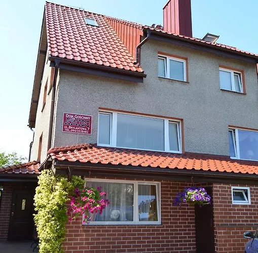 Amigo * コウォブジェク