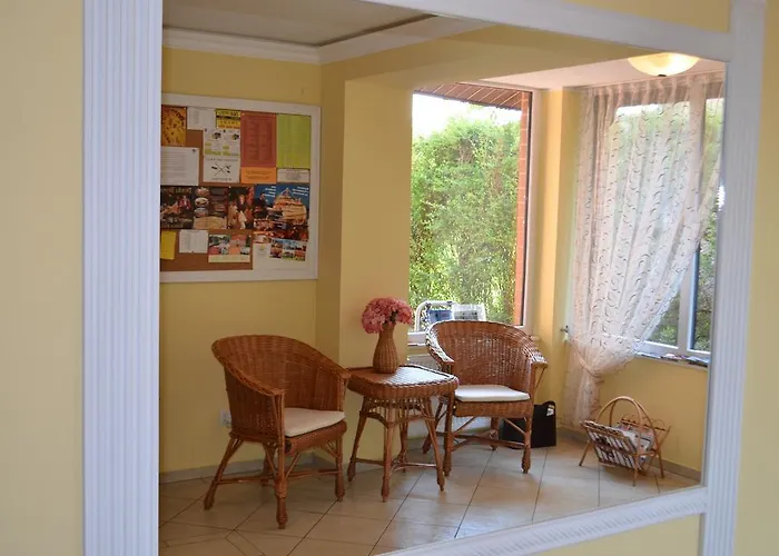 Amigo コウォブジェク